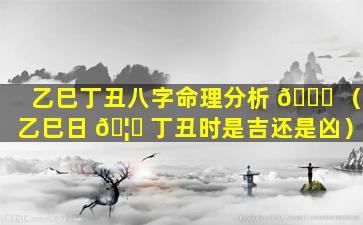 乙巳丁丑八字命理分析 🐛 （乙巳日 🦊 丁丑时是吉还是凶）
